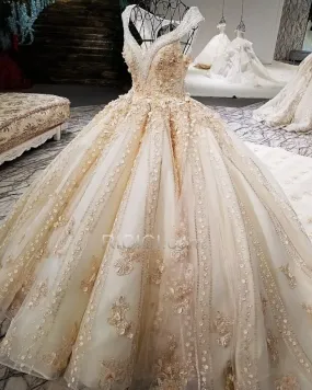 Beige Robe De Mariée Sans Manches Dos Nu Strass Longue Dentelle Luxe Tulle