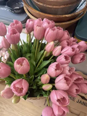 Bouquet 5 tulipes rose - La boutique de Mélanie