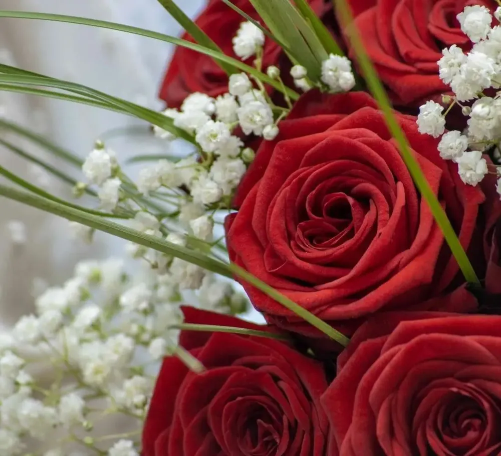 Bouquet Déclaration