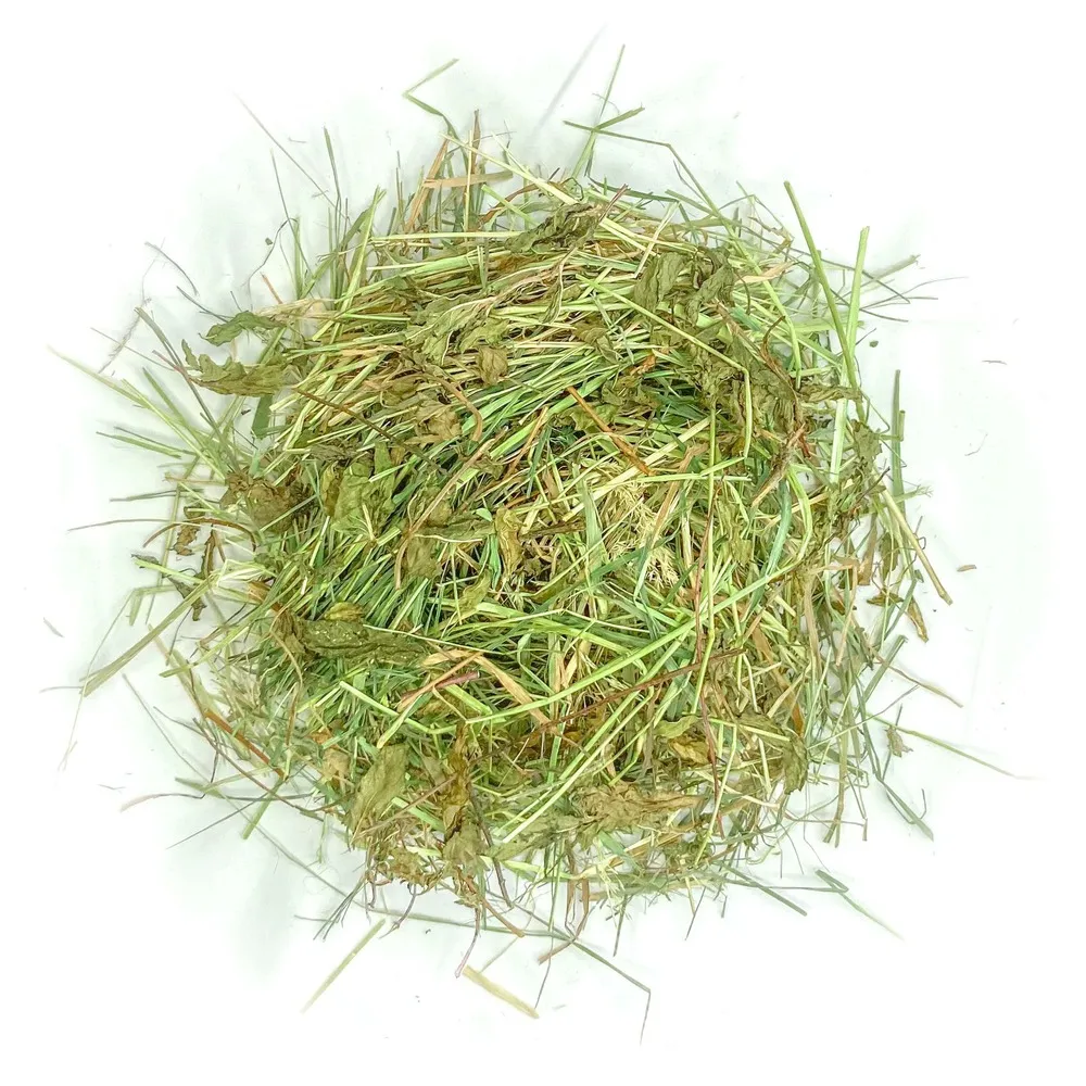 Foin aromatisé aux bleuets bleus pour lapins et rongeurs