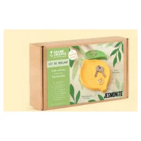 Kit jesmonite vide poches citron