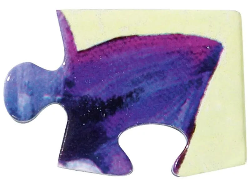 PUZZLE Rainbow Tigers